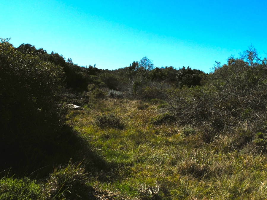 0 Bedroom Property for Sale in Paradise Beach Eastern Cape